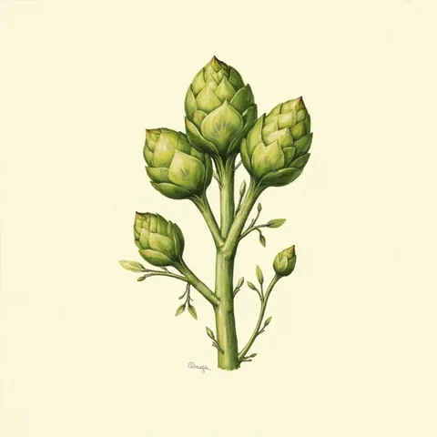 Brussels sprouts